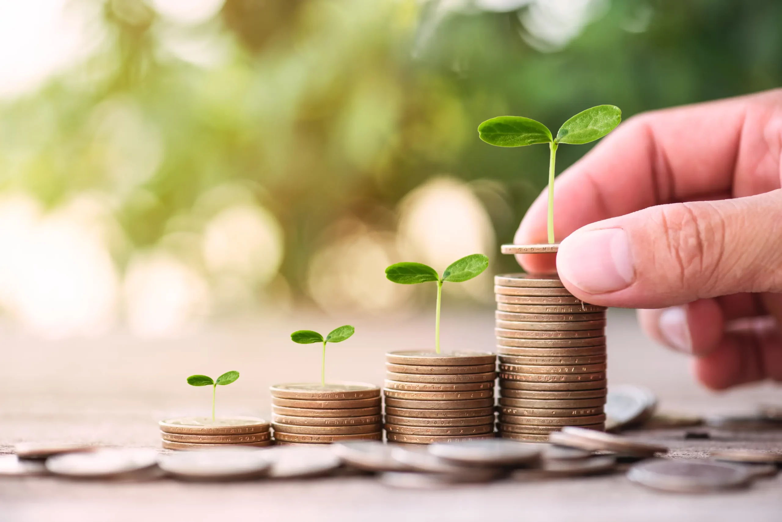 Gold coins with sprouts symbolizing investment growth and wealth management strategy